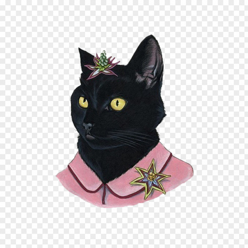 Cat Black Painting Portrait PNG
