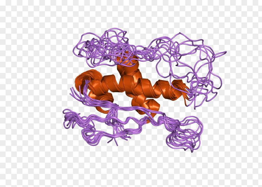 Epidermal Growth Factor Receptor Protein SNX1 Sortilin 1 Gene Retromer PNG