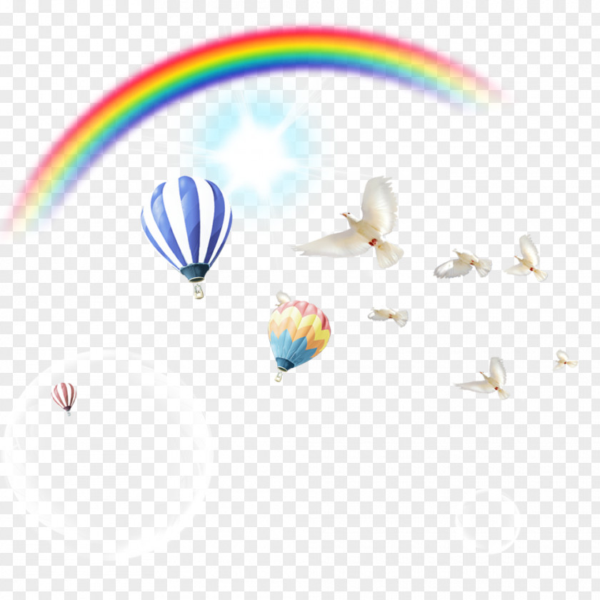 Hot Air Balloon Rainbow Dove Birthday PNG