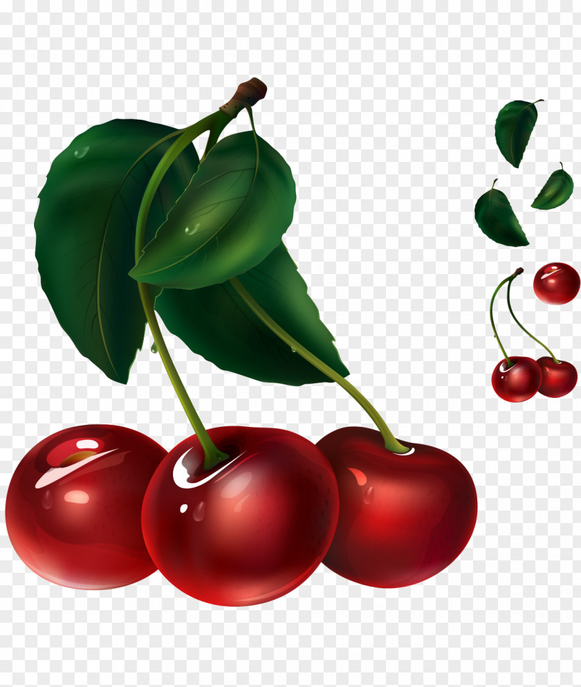 Painted Red Cherry Fruit Green Leaves Juice Illustration PNG