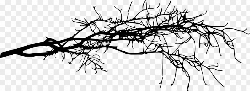 Silhouette Twig Black And White PNG