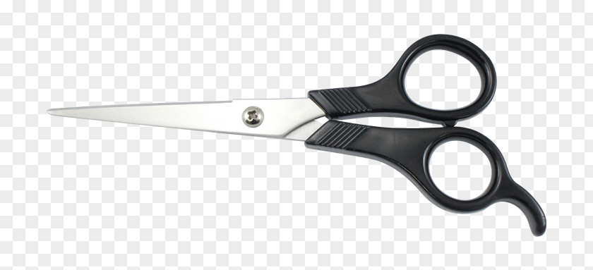 Tailor Scissors Hair-cutting Shears Barber Hairdresser PNG