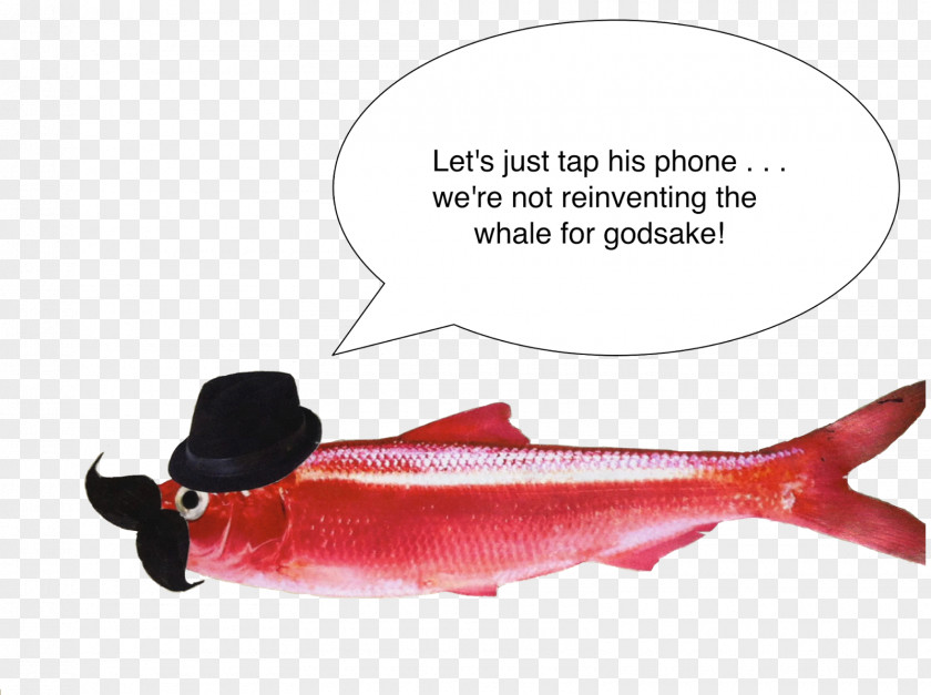 Fish Sockeye Salmon Pun Cod PNG