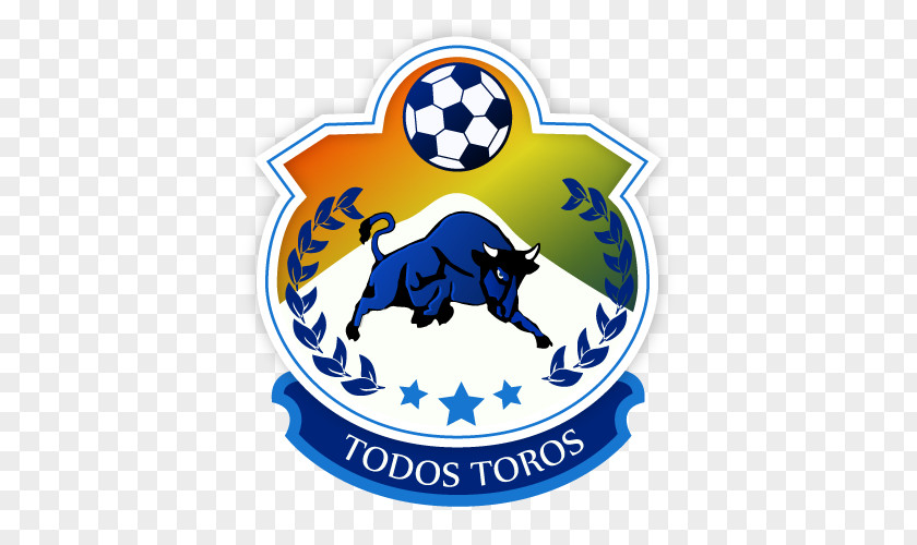 Football CD Provincial Osorno Trapo Deportes | Tienda De Hattrick PNG