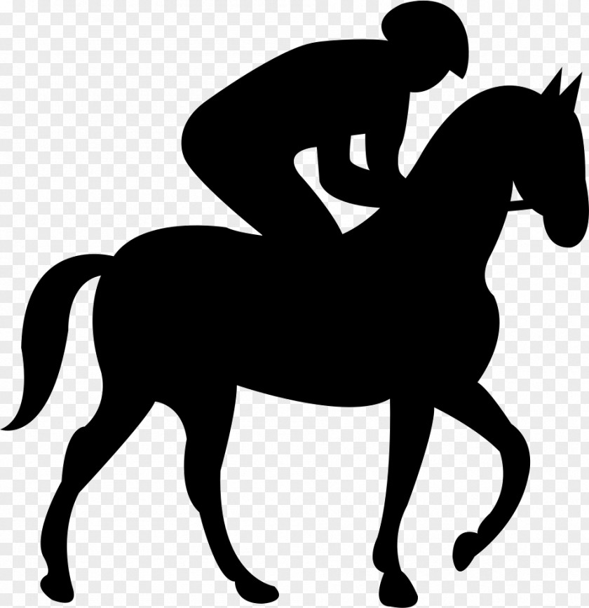 Horse Equestrian PNG