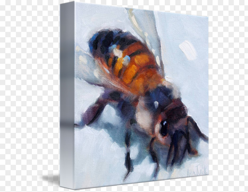 Insect Bee Gallery Wrap Canvas Pollinator PNG