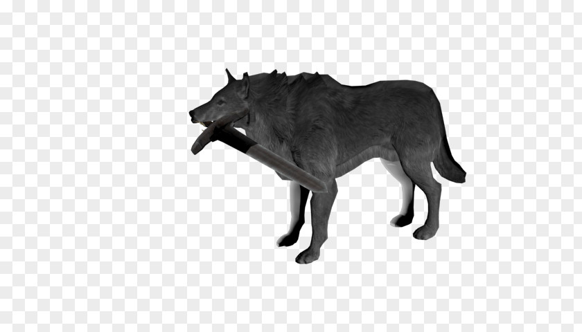 Painted Gray Wolf Panther Leopard Cat Felidae PNG