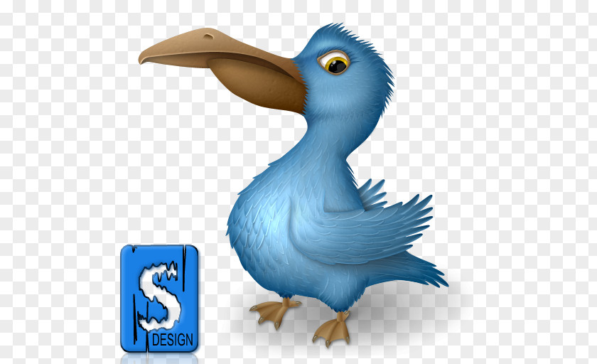 Bird Pelican Clip Art PNG