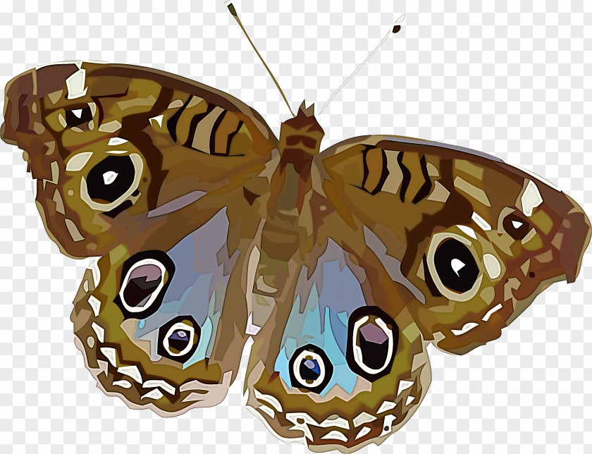 Monarch Butterfly PNG