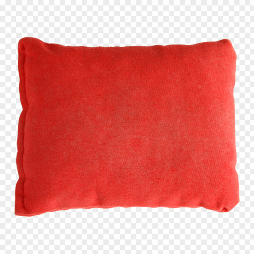 Seaside Throw Pillows Cushion Velvet Rectangle PNG