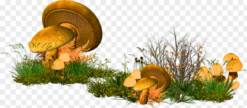 Yellow Simple Mushroom Decoration Pattern Clip Art PNG