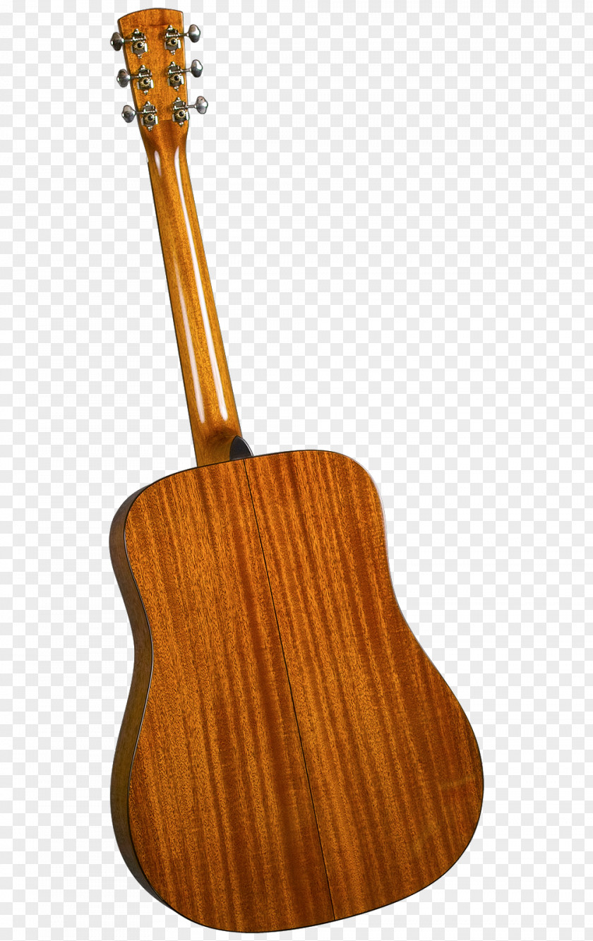 Acoustic Guitar Ukulele Acoustic-electric Tiple Cuatro PNG