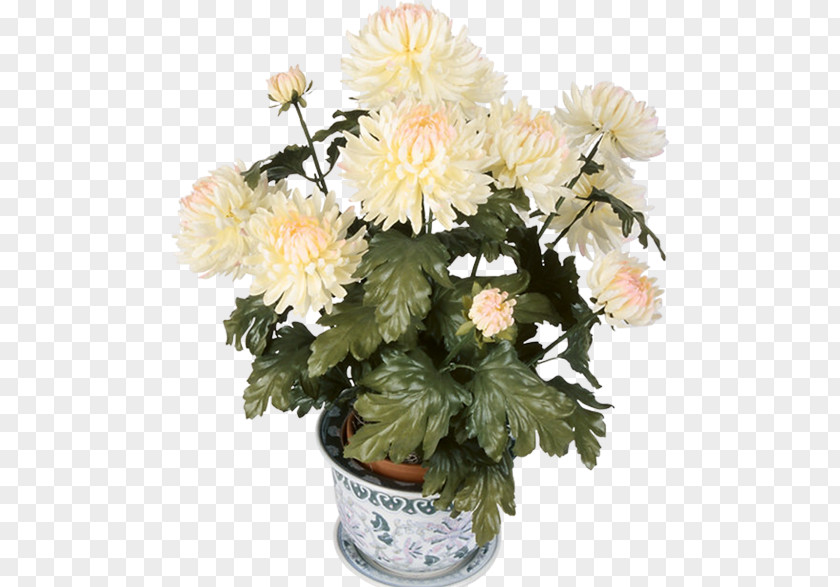 Chrysanthemum Cut Flowers Dahlia Clip Art PNG
