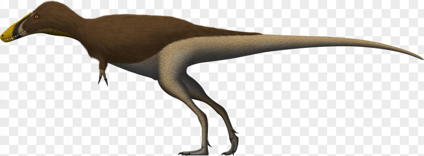 Dinosaur Alioramus Qianzhousaurus Tyrannosaurus Velociraptor Tarbosaurus PNG