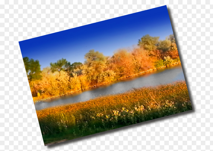 Erhai Lake Bridge Free And Ecosystem Meadow Nature Story PNG