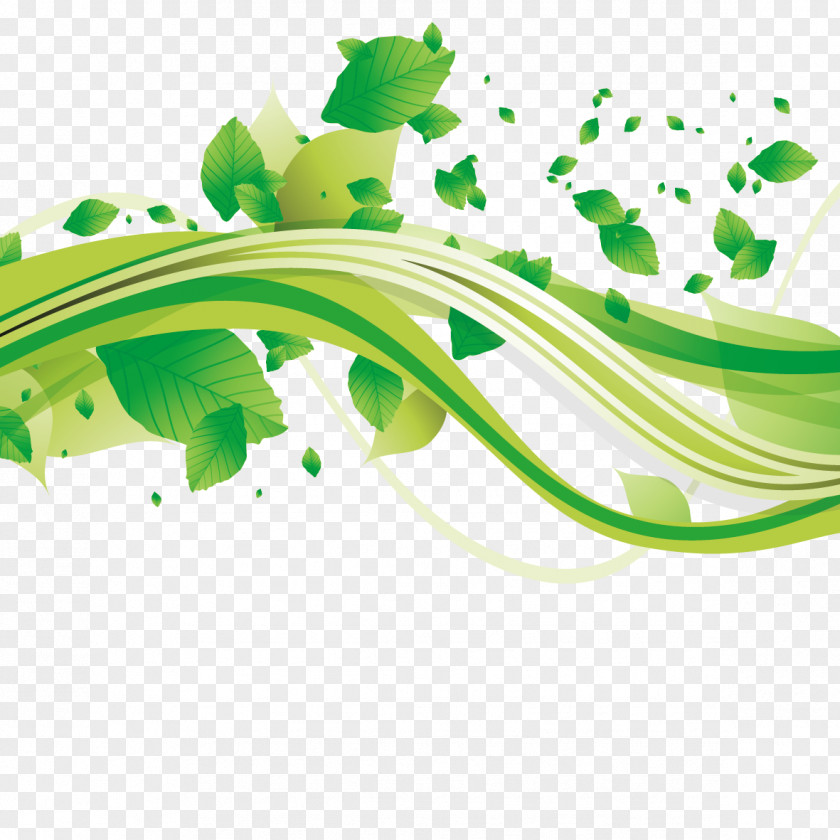 Leaves And Lines Green Euclidean Vector Clip Art PNG