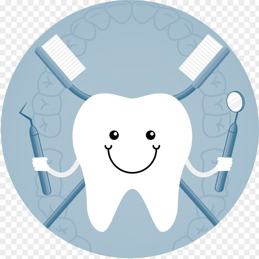 Teeth Human Tooth Dentistry Toothpaste PNG