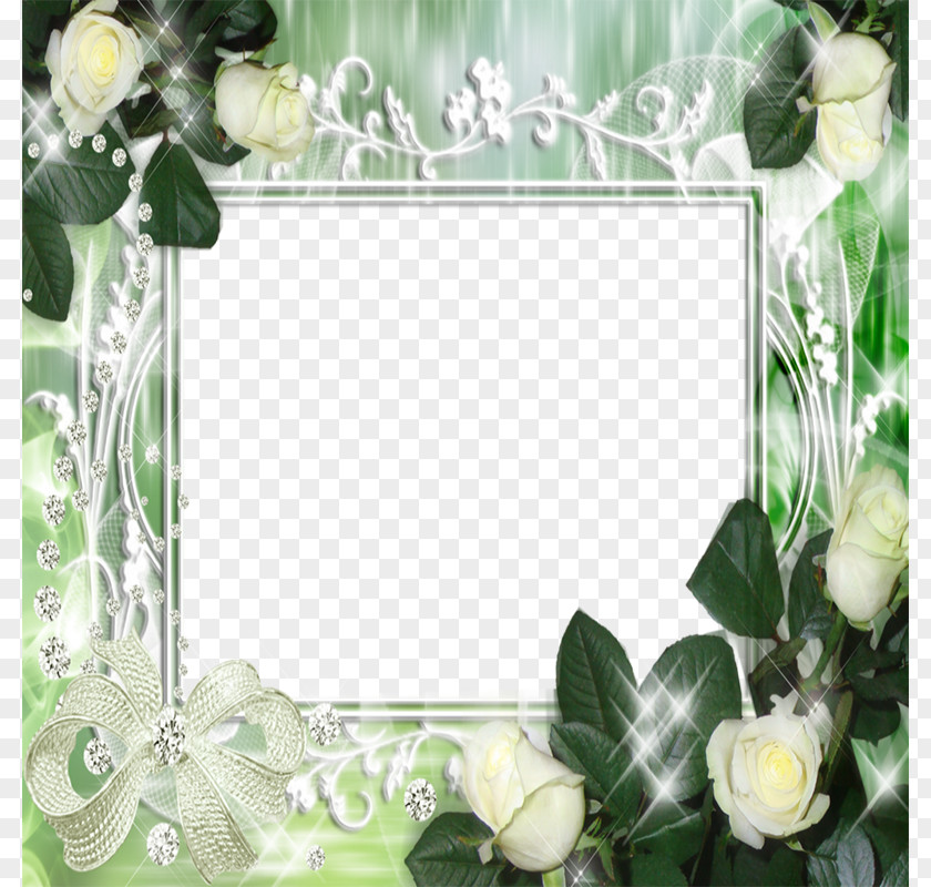 White Rose Frame Picture Vecteur Computer File PNG