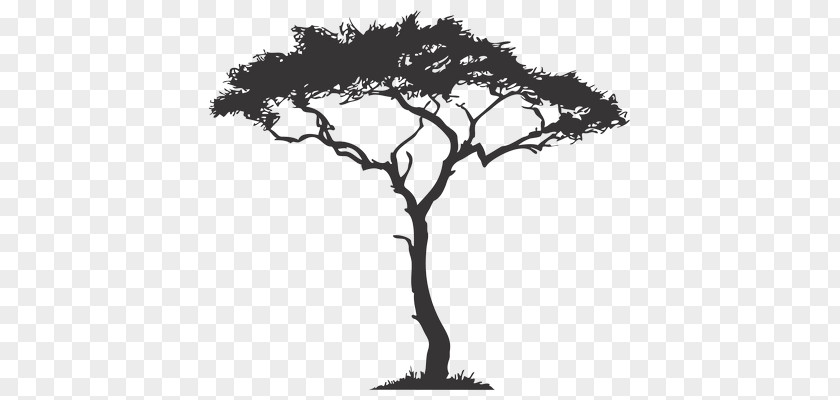 Africa Tree Drawing Decal PNG