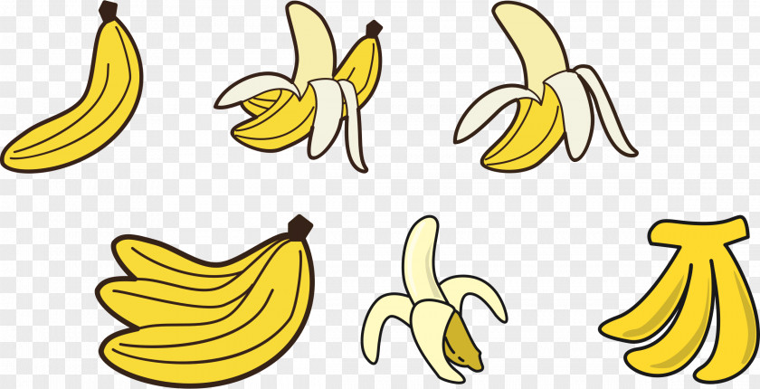 Banana Cooking Clip Art Fruit Drawing PNG