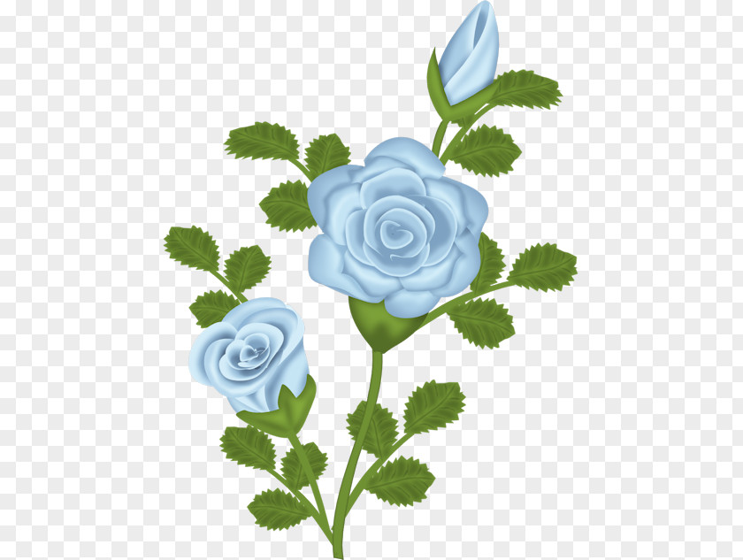 Blue Rose Cliparts Purple Flower Clip Art PNG