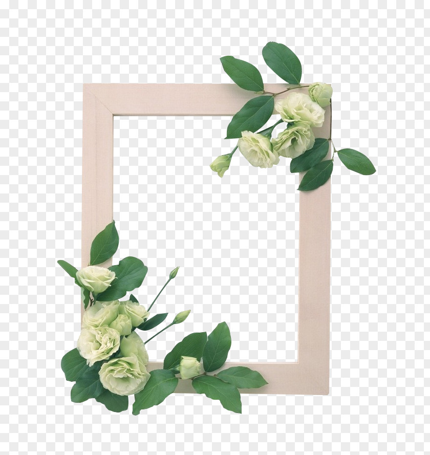 Bonsai Frame Picture Frames Image WEDDING FRAME Design Adobe Photoshop PNG