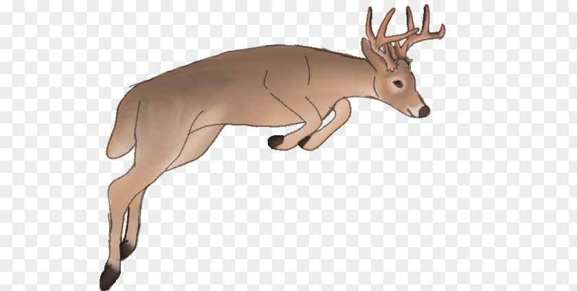 Its Snowing Reindeer White-tailed Deer Elk Cattle PNG