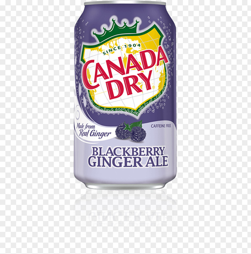 Lemonade Ginger Ale Fizzy Drinks Carbonated Water Beer PNG