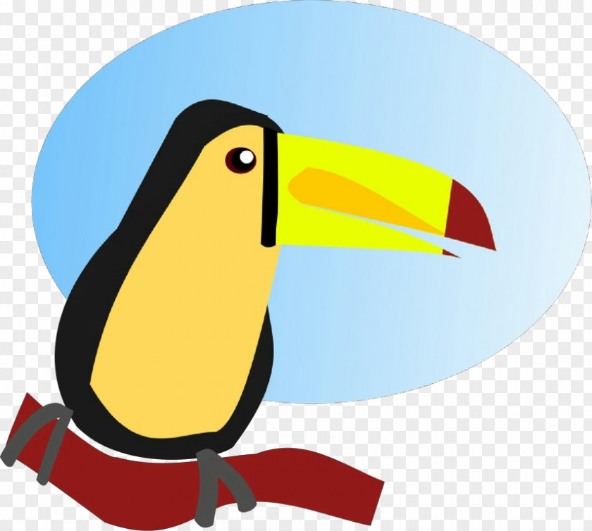 Penguin Piciformes PNG