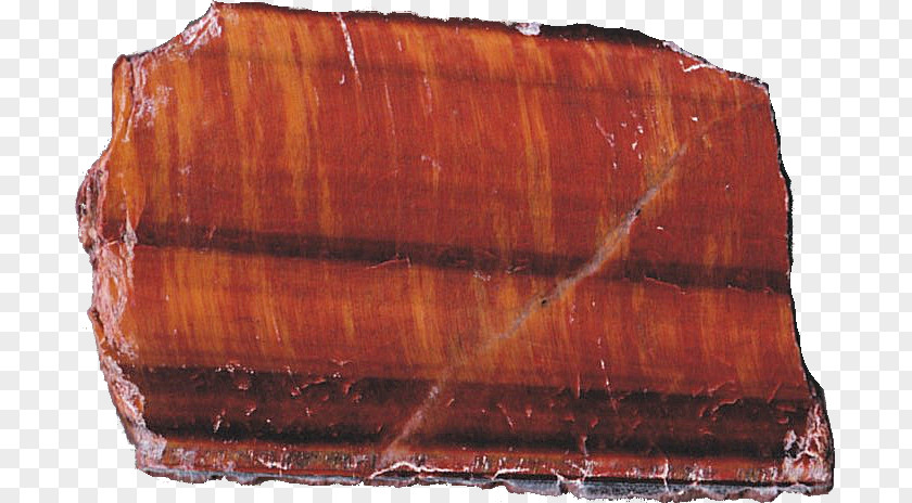 Wood Slab Petrified Agate Jasper /m/083vt PNG
