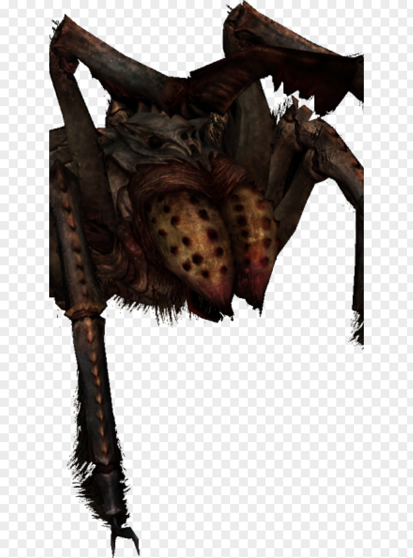 Yak Animal Picture The Elder Scrolls V: Skyrim U2013 Dragonborn Online: Dark Brotherhood Spider PNG
