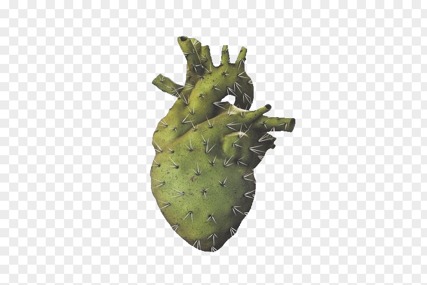 Cactus Heart PNG heart clipart PNG