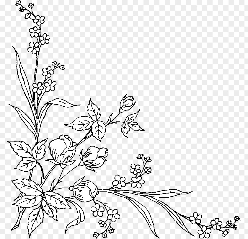 Design Floral Black And White Art PNG