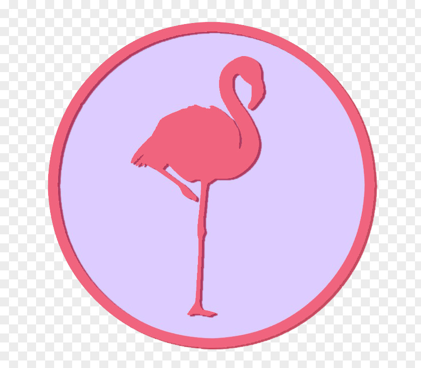 Flamingos Sticker Wall Decal Greater Flamingo Water Bird PNG