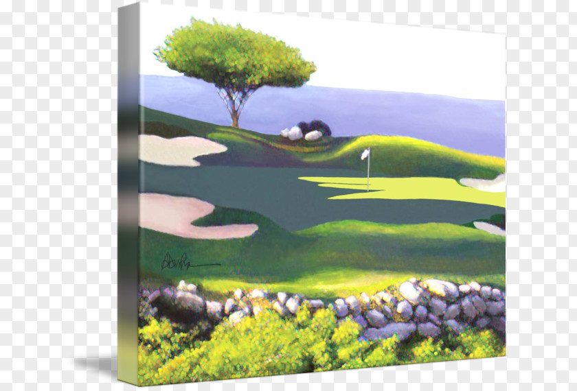 Golf Poster Flora Ecosystem Nature Landscaping Vegetation PNG