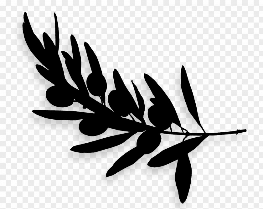 Leaf Silhouette Black PNG