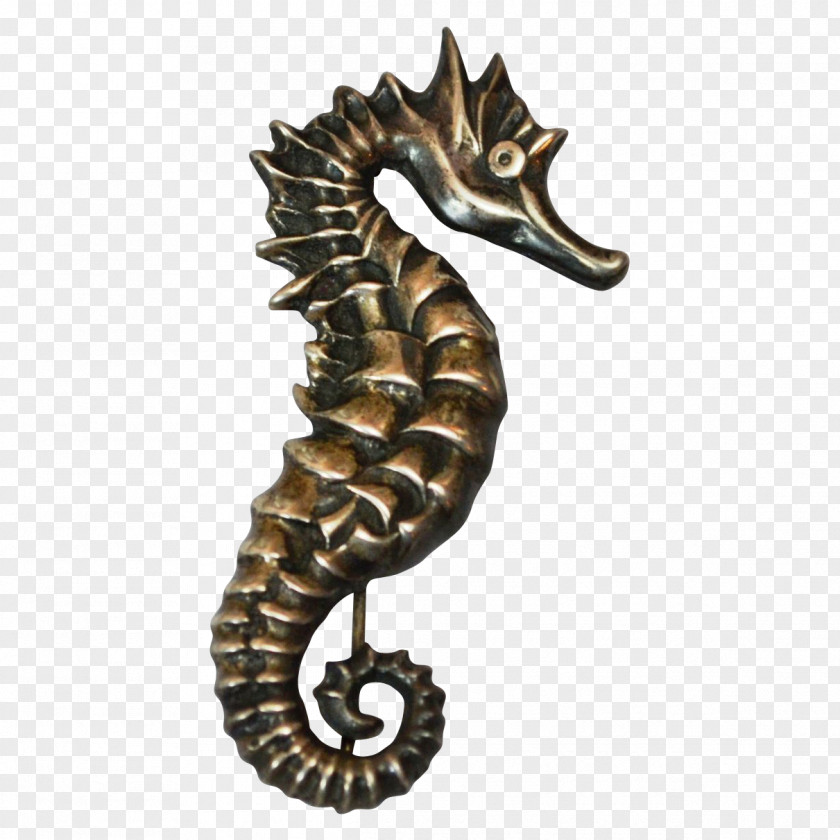 Seahorse Syngnathiformes Body Jewellery Animal PNG