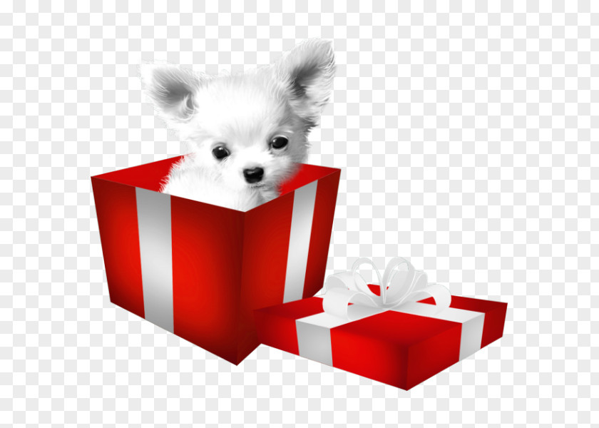 The Puppy In Box Chihuahua Bulldog Beagle Dogo Argentino PNG