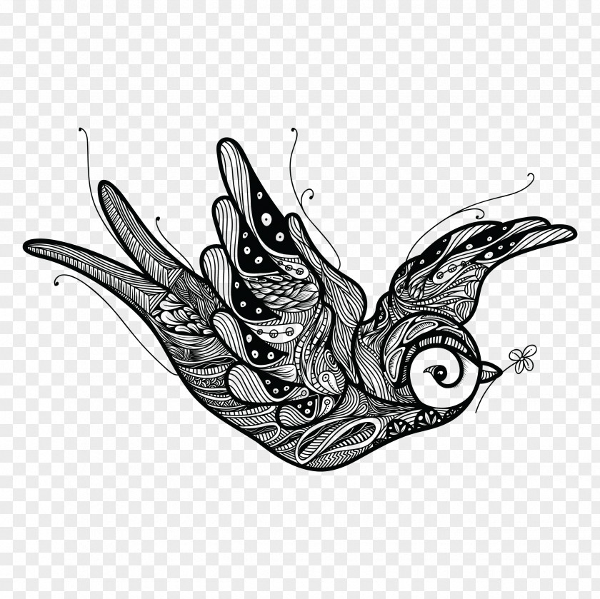 Bird Drawing Art PNG