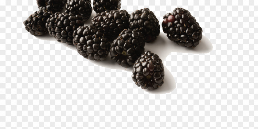 Black Raspberries Free Download Gelatin Dessert Frutti Di Bosco Marmalade Raspberry PNG