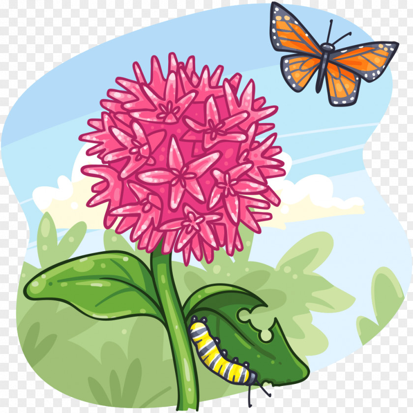Butterfly Monarch Chrysanthemum Brush-footed Butterflies Cut Flowers PNG
