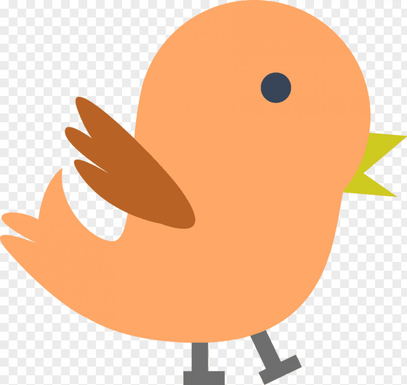 Picture Of Baby Chick Bird Infant Clip Art PNG