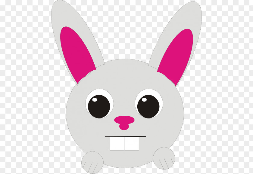 Rabbit Hare Easter Bunny Domestic Clip Art New Zealand PNG
