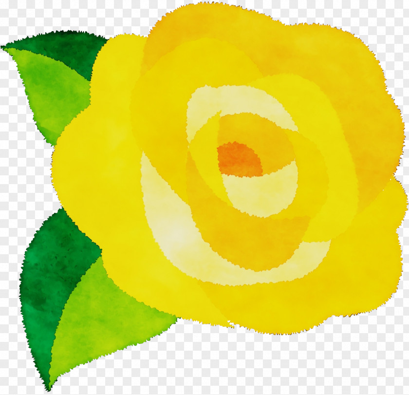 Garden Roses PNG