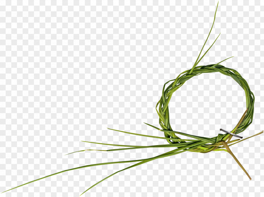 Grass Ring Green PNG