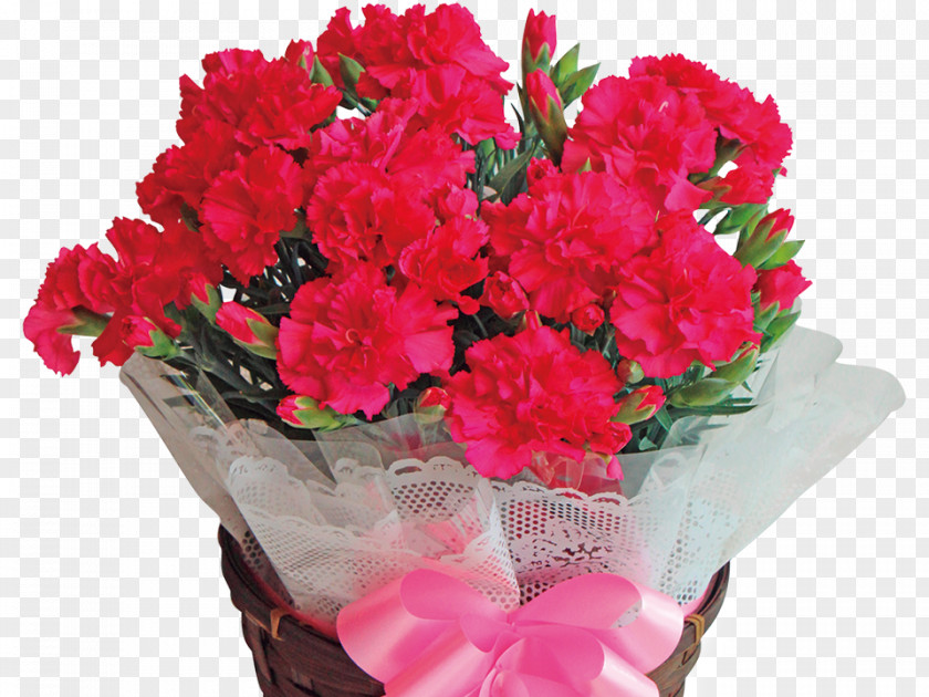 Mother's Day Specials Carnation Floral Design Azalea Cut Flowers Flowerpot PNG