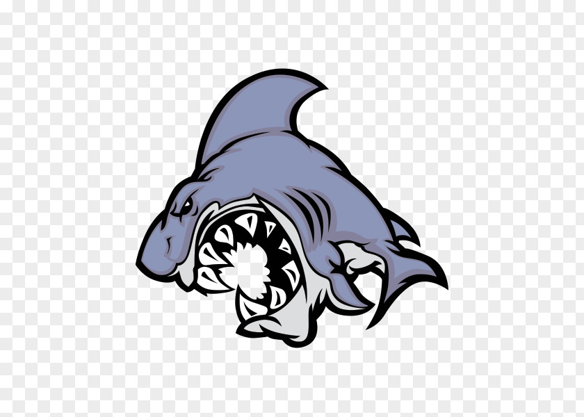 Shark Logo Clip Art PNG