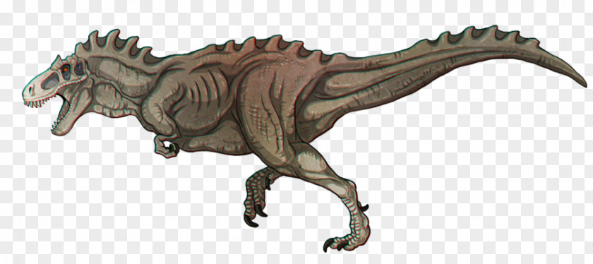 Thanks For 1000 Likes Tyrannosaurus Albertosaurus Dilong Teratophoneus Pachyrhinosaurus PNG