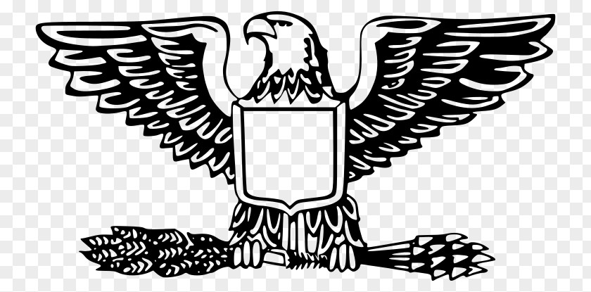 Badge Vector Bald Eagle Scout Clip Art PNG