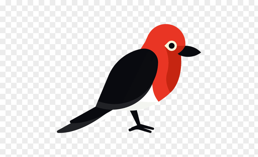 Bird Woodpecker True Parrot Clip Art PNG